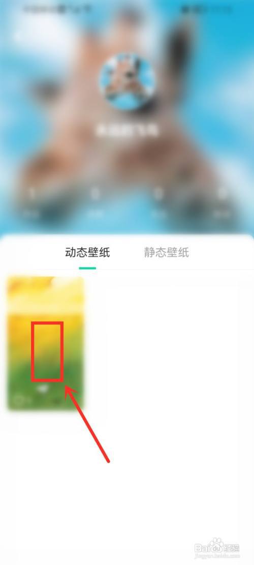 哈屏壁纸app发布的动态壁纸怎么删除?