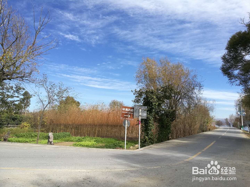 心情不好的时候怎么做