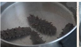海参的做法步骤