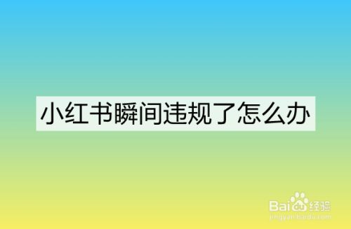 小红书瞬间违规了怎么办