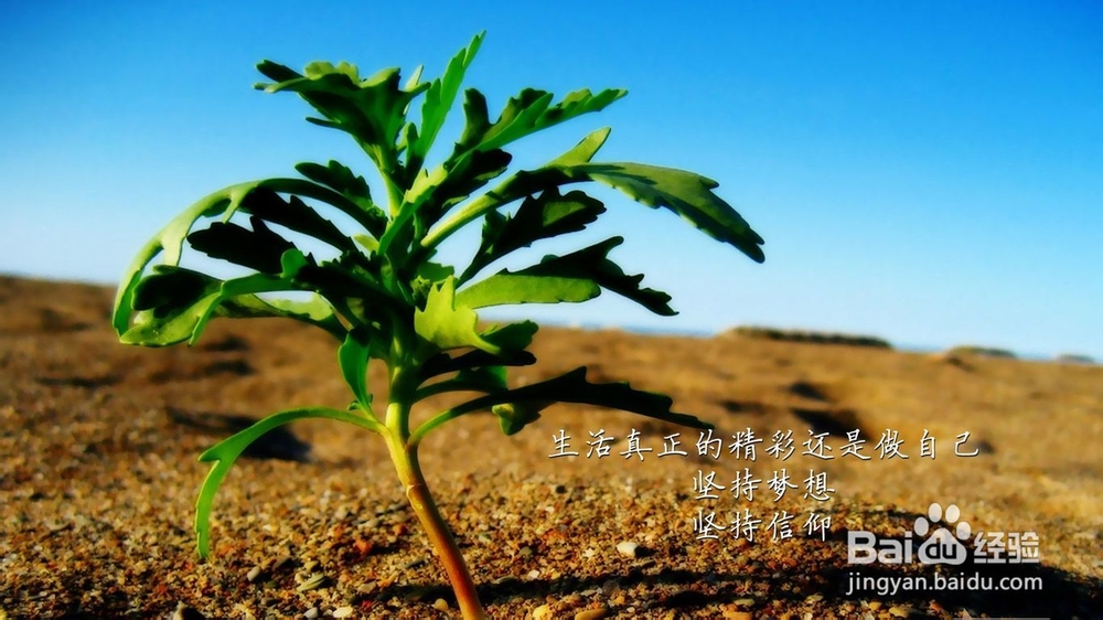 高考：[15]2013山东高考考生应了解的资讯