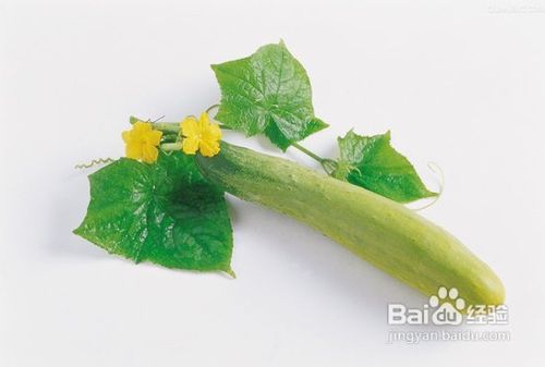 如何有效肌肤美白 推荐几款自制美白化妆水