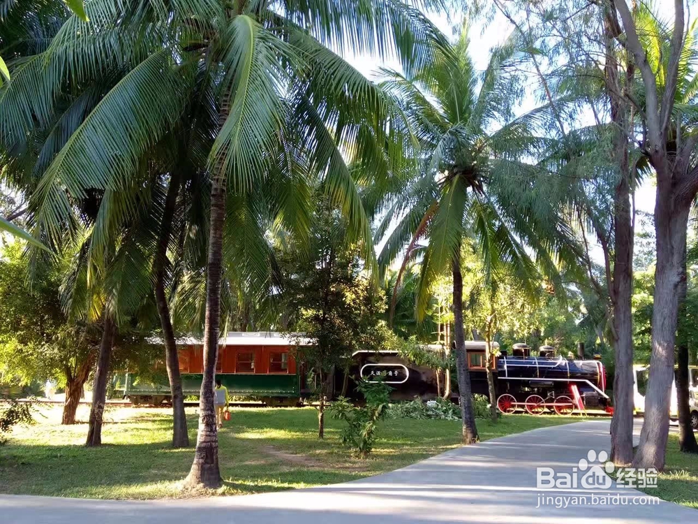 观光小火车建设项目可行性研究报告计划书