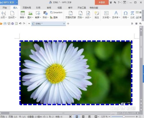 怎样在wps文字中给图片添加上虚线边框?