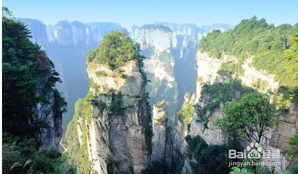 过年国内哪里旅游好