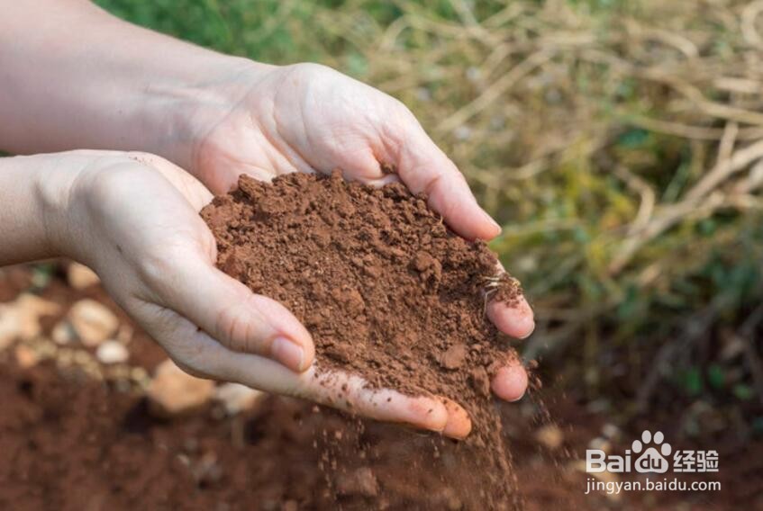 增加土壤酸性的方法