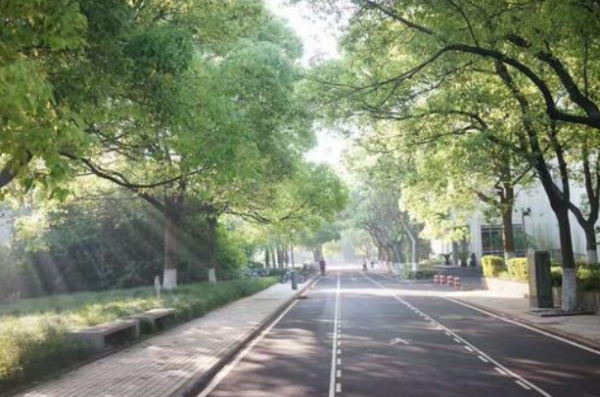 鸟儿在读早晨空气中清新的味道,一边读一边