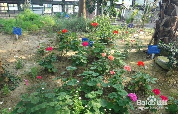 韩国光州牛峙公园旅游攻略