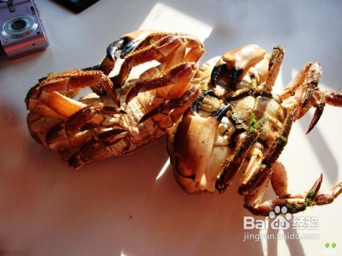 【挪威】卑尔根鱼市，海鲜食客的饕餮大餐