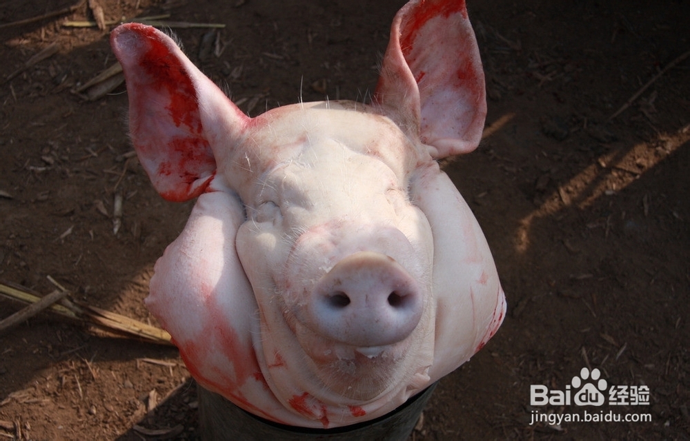 凤凰古城到张家界旅游攻略