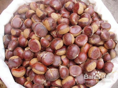 最减肥的食物—五大食物让你瘦不停