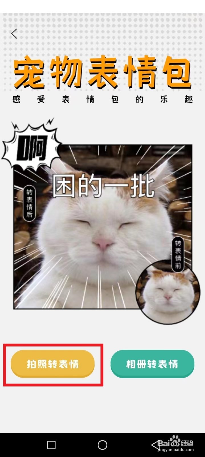 宠胖胖怎么制作我的宠物表情包