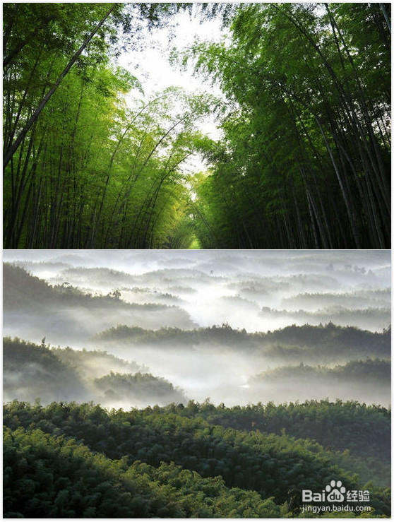 北京马拉松遇重霾 盘点全国十大洗肺的森林氧吧