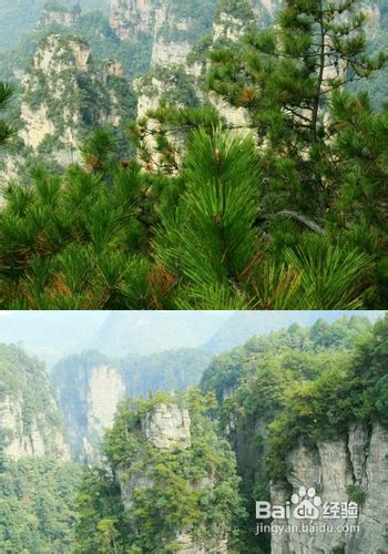 北京到张家界旅游攻略(特点+线路+小贴士)