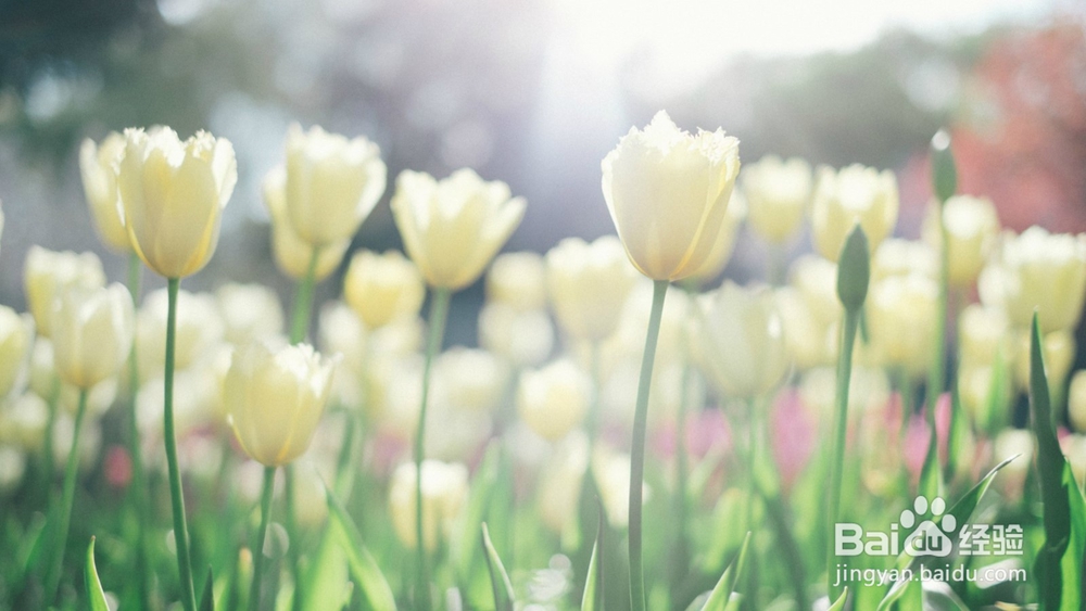 胃酸是怎么引起的?怎么养胃?