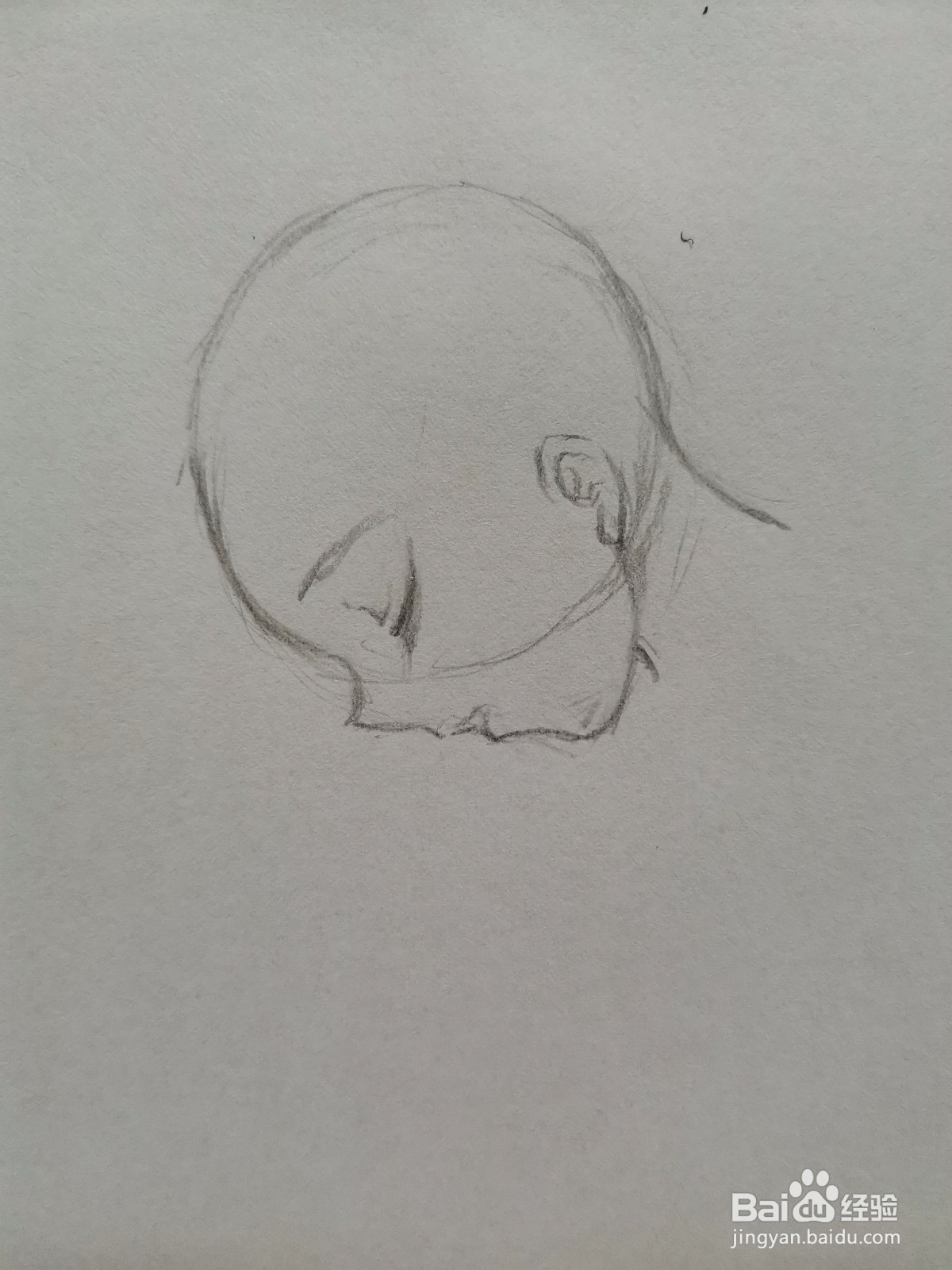 动漫人物人体怎么画?