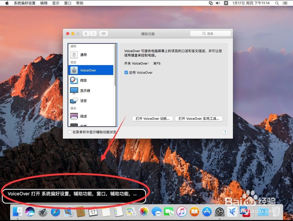 苹果Mac系统如何打开语言播报VoiceOver旁白