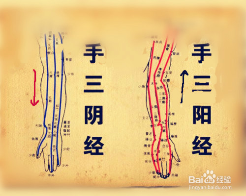 刺激人体穴位增强健康的作用