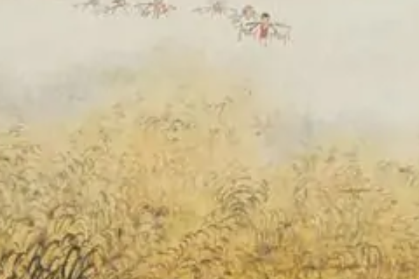喜看稻菽千重浪概括是什么