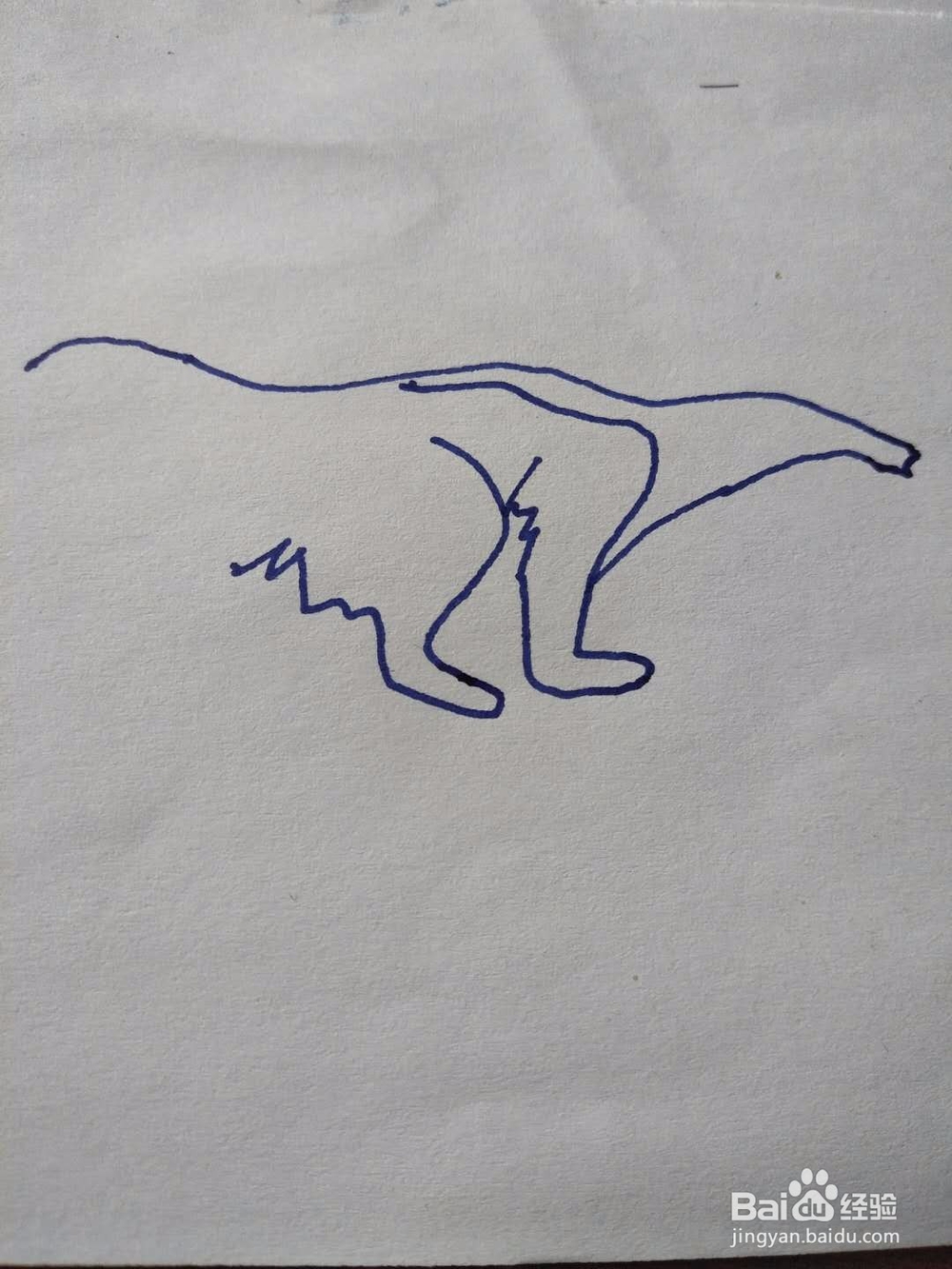 简笔画之食蚁兽
