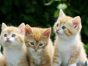 放松自己,笑对人生