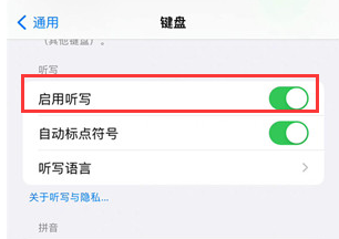 iPhone15怎么进行启用听写功能？