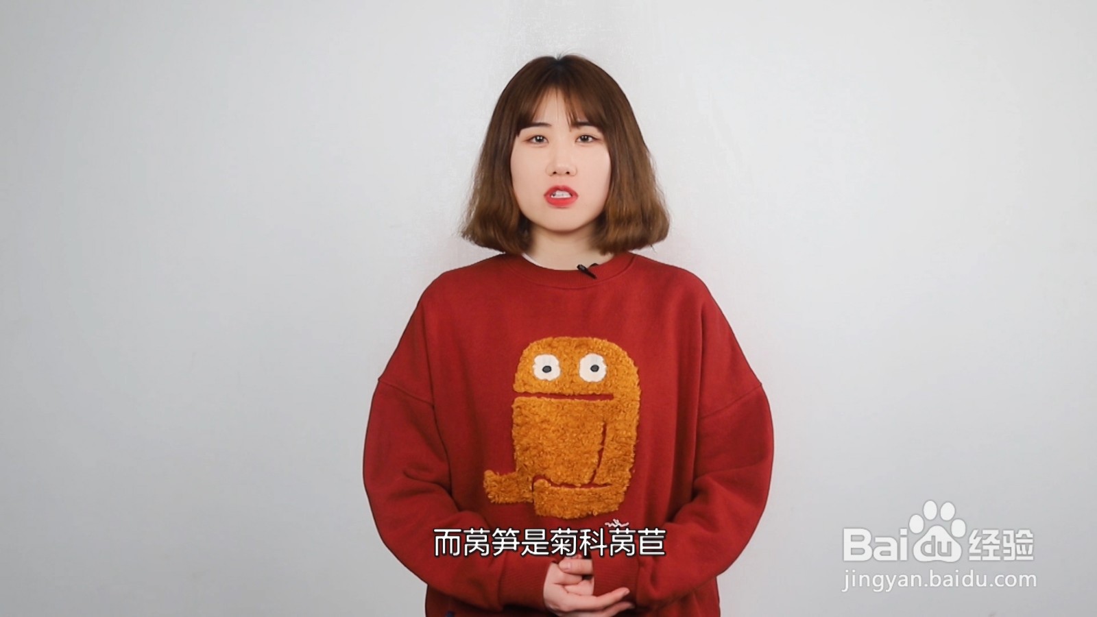 贡菜是不是莴笋