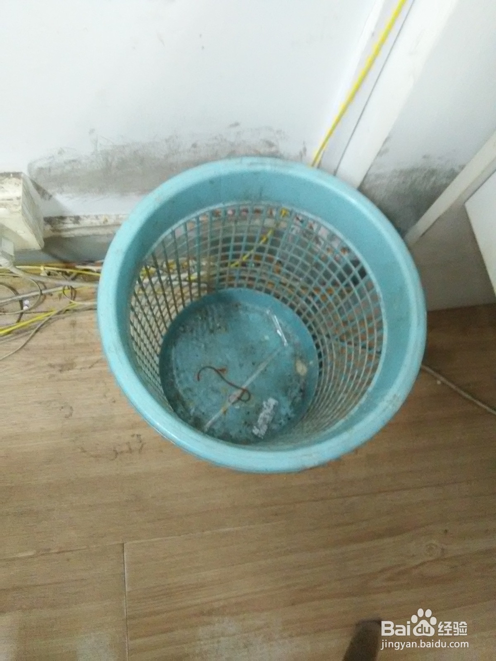 办公室有蟑螂怎么办
