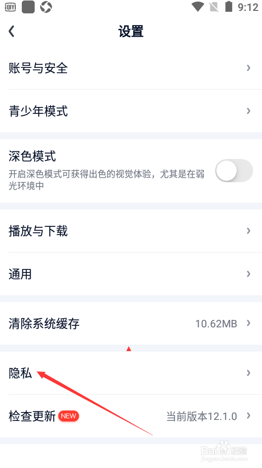 爱奇艺如何进行隐私设置