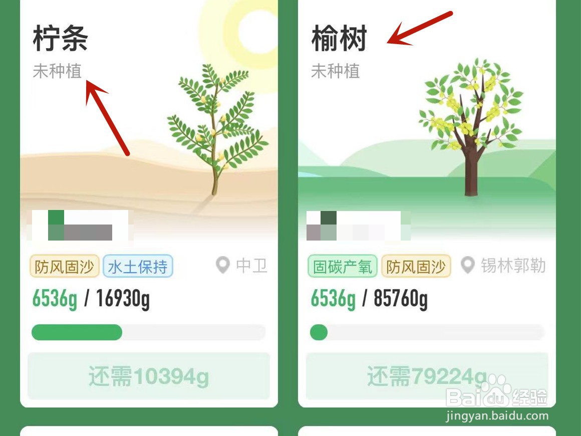 蚂蚁森林背景怎么获得