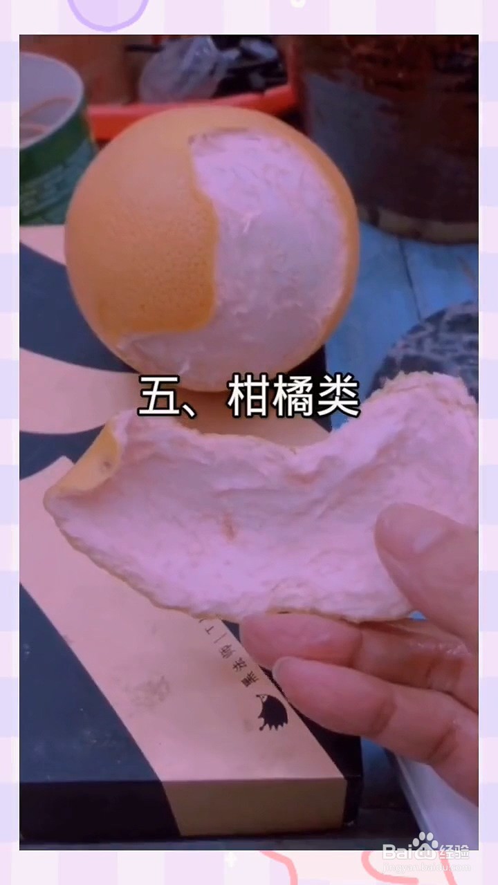 猫咪最讨厌的五种味道