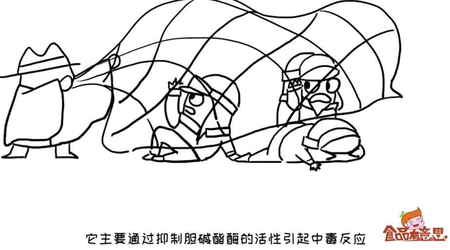 发芽的土豆能不能吃