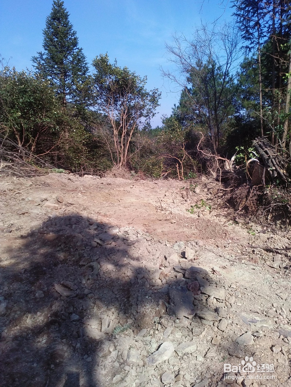 扶贫实现鸣凤人乡村旅游梦想记实