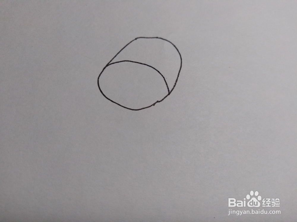 教你怎样画一头小牛217