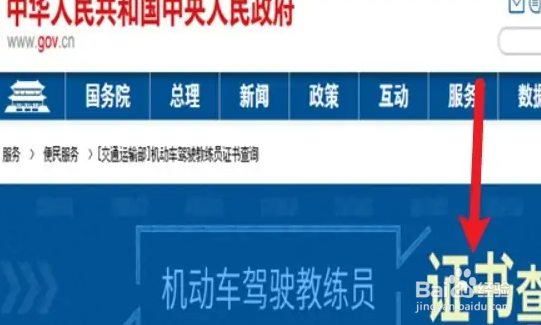 教练证在哪里查询
