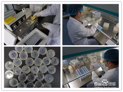 微生物实验中怎么养菌和收菌?