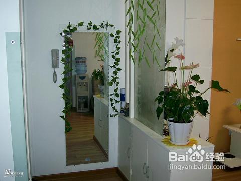 玄关设计的知识