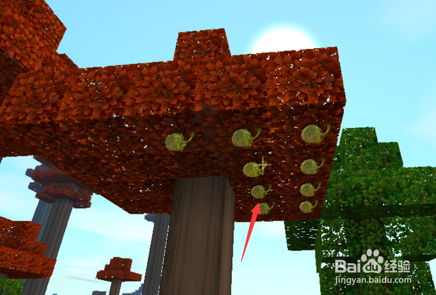 迷你世界怎样繁殖企鹅