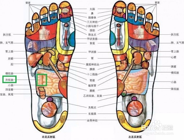 手术后的康复办法