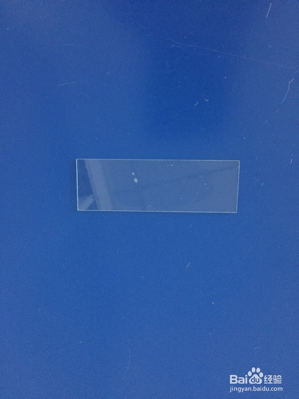 显微镜的使用视频