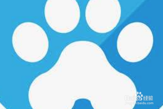 猫咪受到惊吓怎么安抚