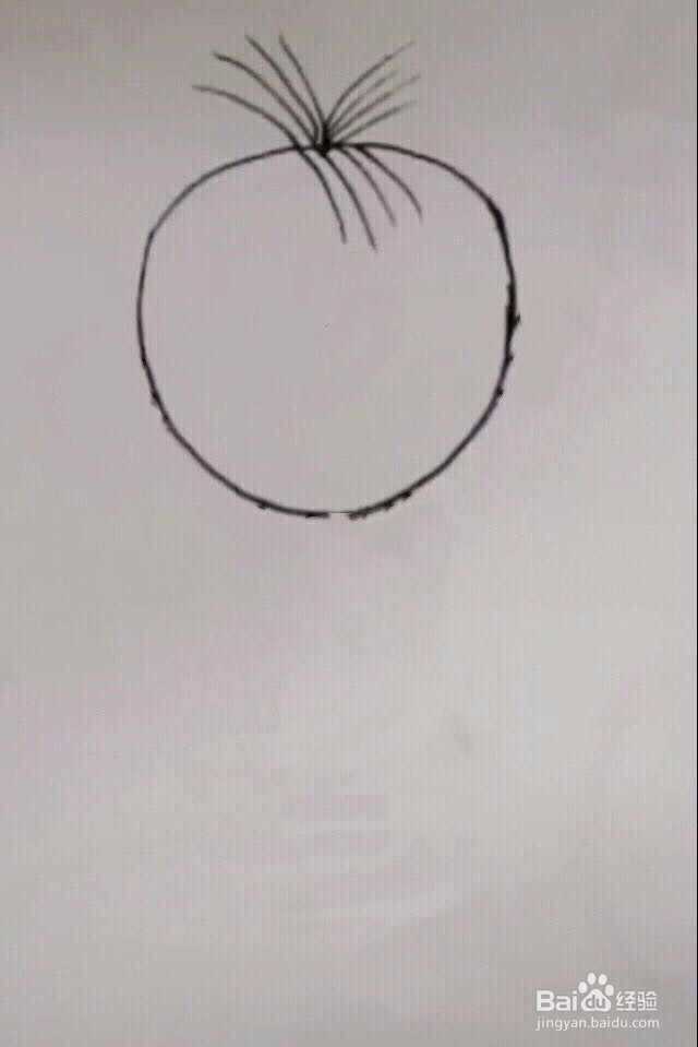 简笔画大耳朵图图的画法