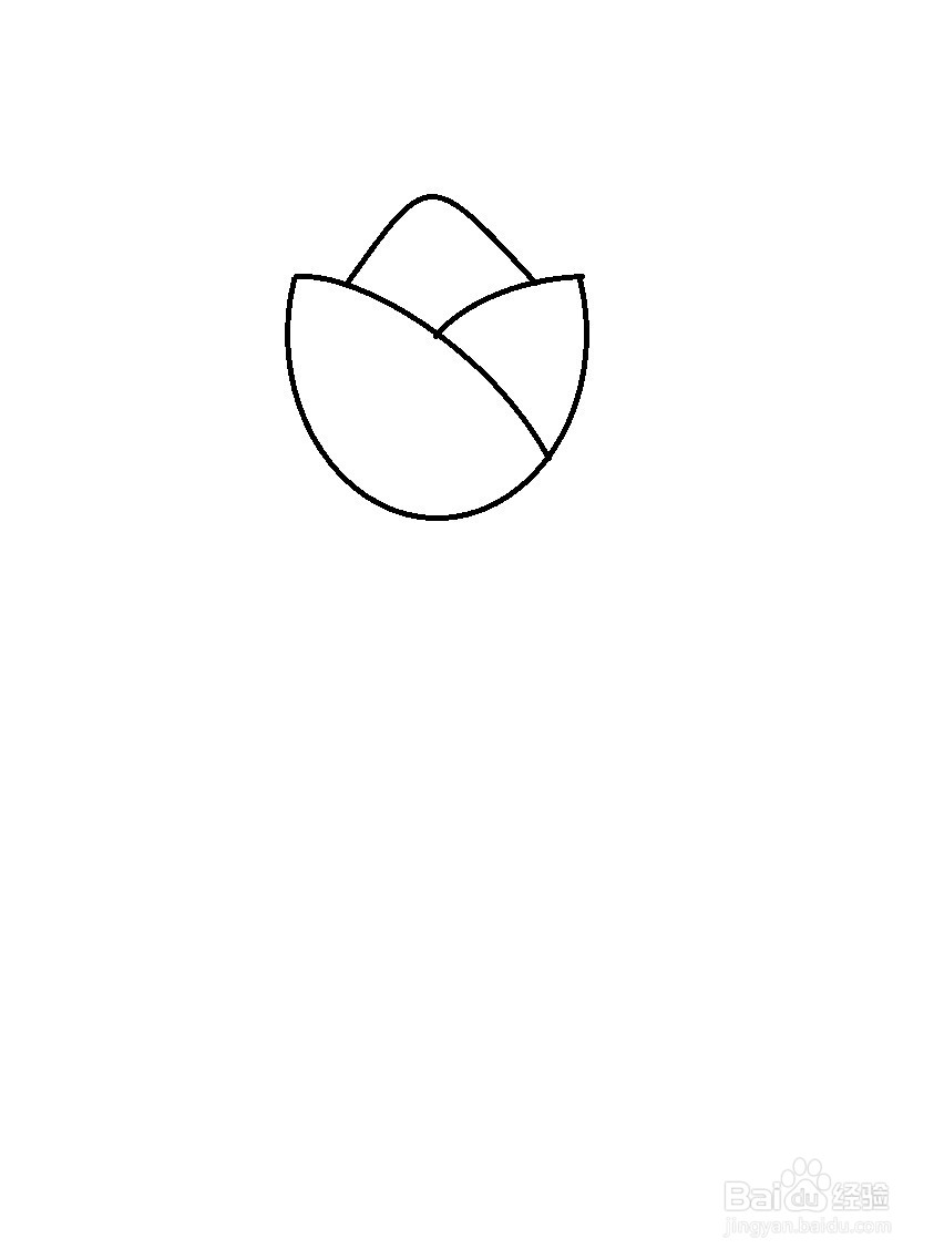 画郁金香的简单方法