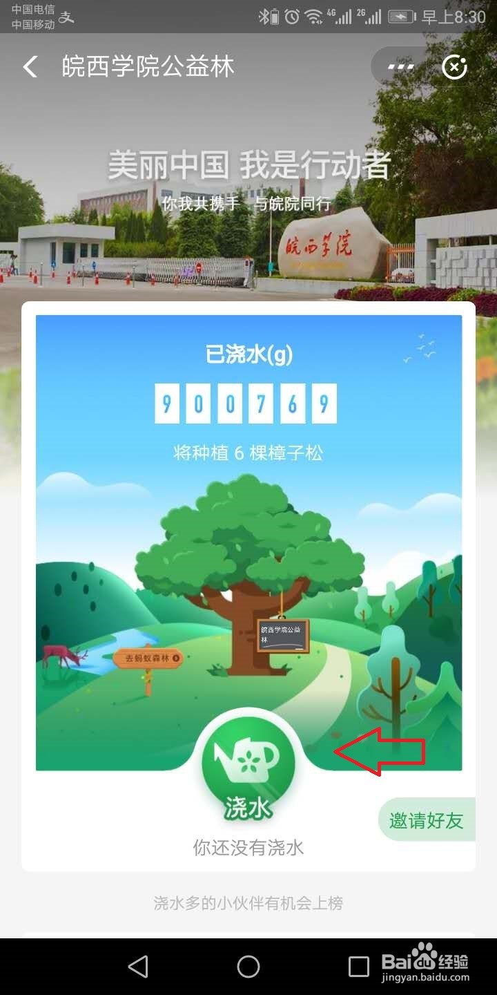 蚂蚁森林怎么给学校浇水