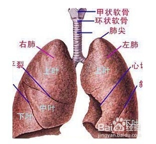 肺癌的鉴别诊断,如何去诊断