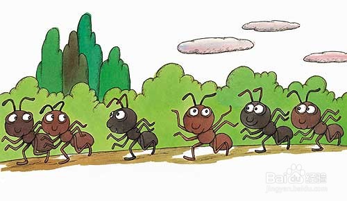 蚂蚁运粮食的图片图片