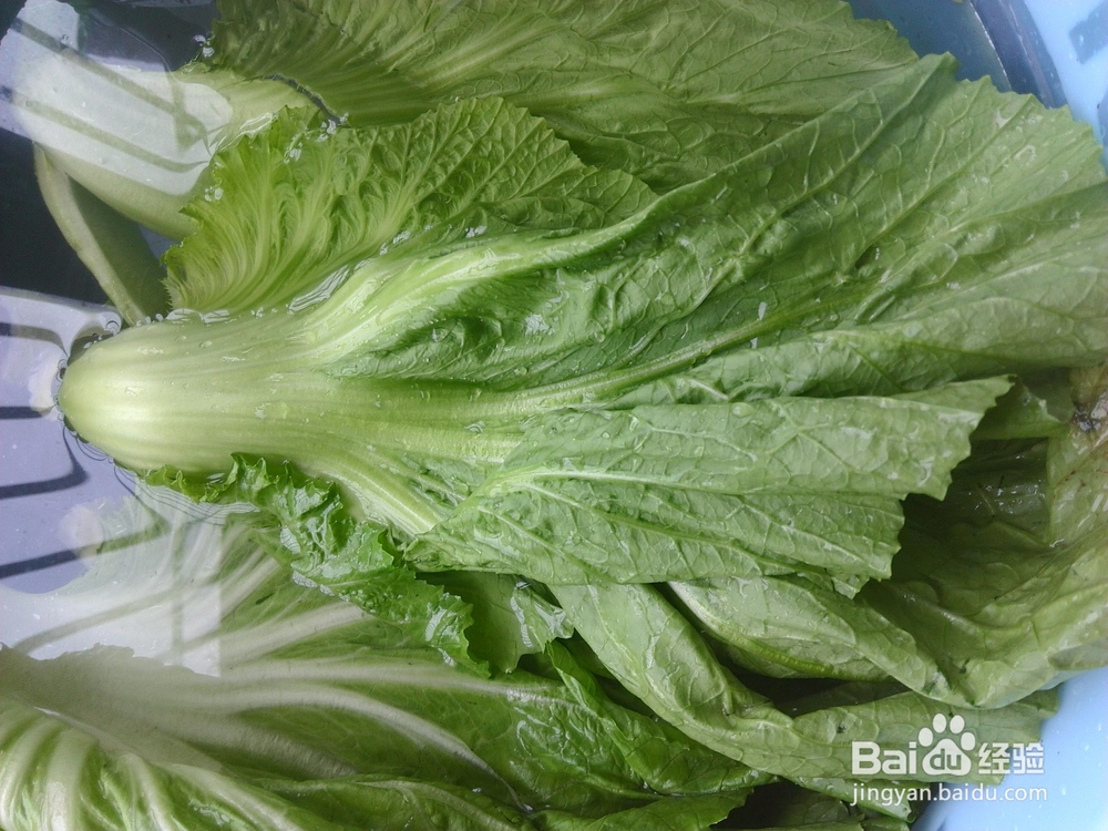 清淡素炒芥菜