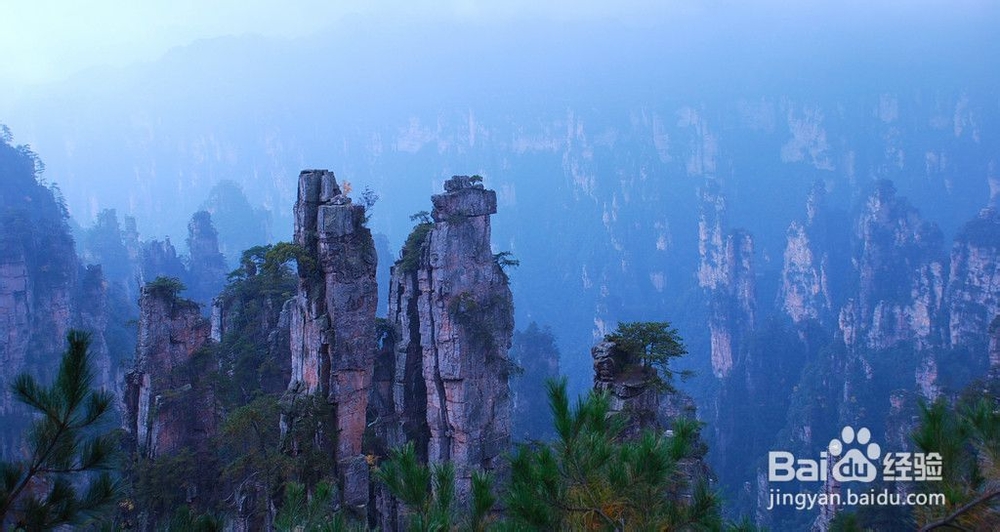 张家界跟团自助游