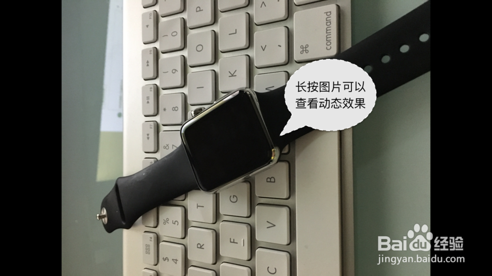 6s live photos 怎么用，6s相机里的live怎么用