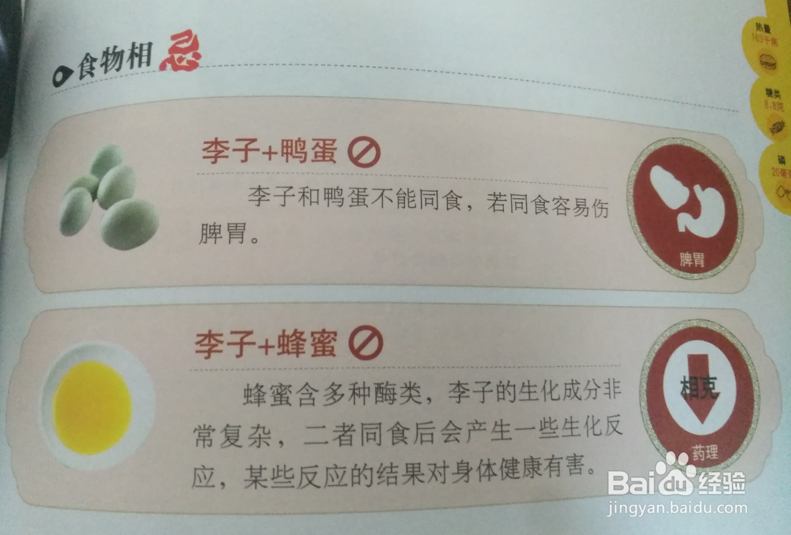 李子不能和什么不能一起吃